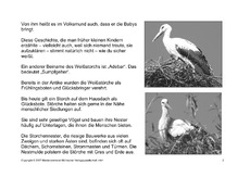 Fehlerlesen-Weißstorch-Lesetext-Sw-2.pdf